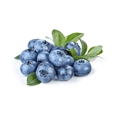 Blueberries oil extract