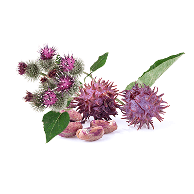 Burdock and castor oil with vitamins