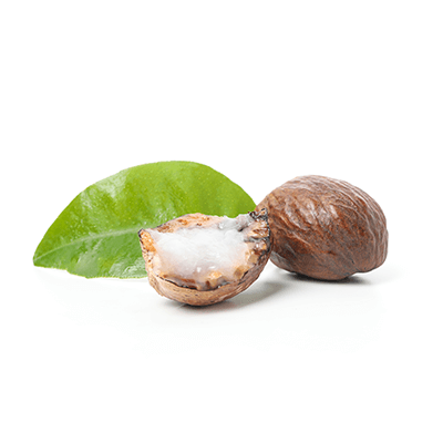 Shea oil