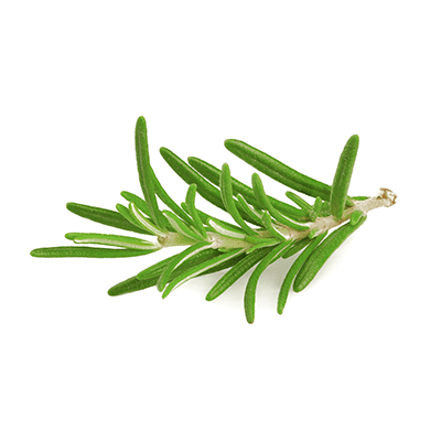 Rosemary oil