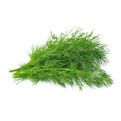 Dill oil