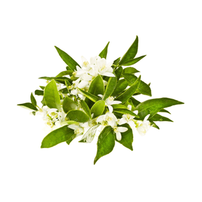 Neroli oil